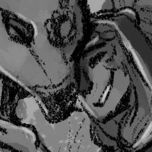 Teen Arc: Glyphs (Pages 313-314)