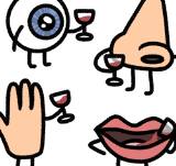 Ep. 265 - Wine Tasting