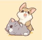 Daily Life of T&S Compilation #2