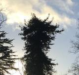 Ep. 120 - Hello Damp