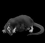 Something in the Walls pt.2