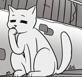 Omake #20: "Stray Cat"
