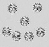 Ep. 92 - Reincarnation