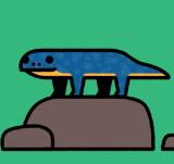 Ep. 620 - Newts Are My Spirit Animal