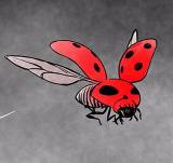 Chapter 6 - Ladybird, Ladybird