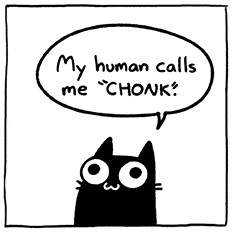 Chonk