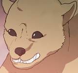 Ep. 265 - Superficiality (5)