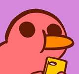 The Adventures of Kiwi...