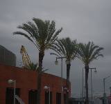 Ep. 59 - Hello Feelings