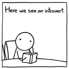 Introvert Friends