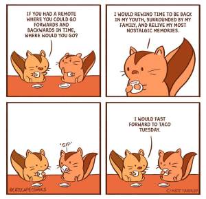 Squirrel Talk