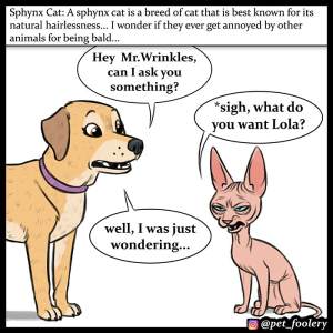 Lola and Mr. Wrinkles