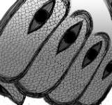 Ep. 43 - What Should I Call This?