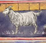 Fun Facts about Goats!