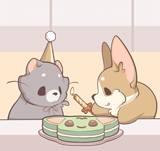 [Bonus] Samuel's Birthday