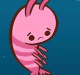 Shrimpy meets Lubshark