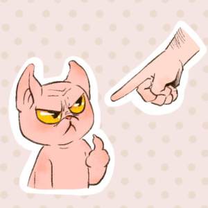 Wept The Cat Out Of the Bag