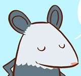 Awesome Opossum