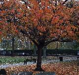 Ep. 106 - Hello Match