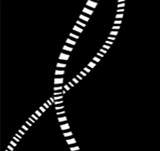 Ep. 2 - Surveillance [II]