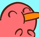 Things Kiwi is Thankful For