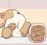 [Bonus] Cookie Monster Strikes Again... And Again