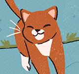 6.2 - weird question