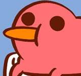 Things Kiwi is Thankful For