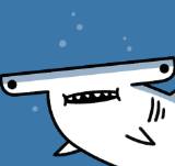 Ep. 1013 - s h a r k s