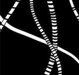 Ep. 3 - Surveillance [III]