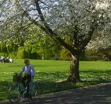 Ep. 46 - Hello Unblossom