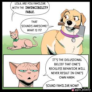 Invincibility Part 1