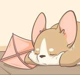 Paper Planes and Kites