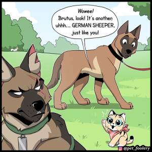 Malinois