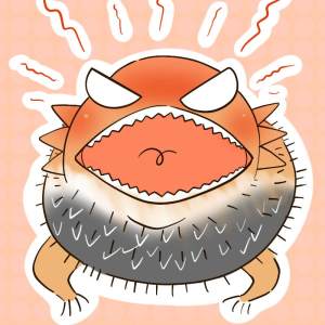 The Dragon & Facial Lair