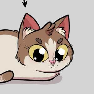 Why Are Cats Like This