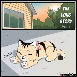 The Long Story Part 1