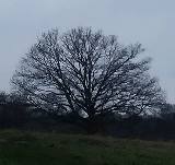 Ep. 17 - Hello Bleak