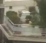 Ep. 91 - Hello Rooftop