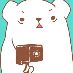 Tummy, put the gun down