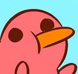 Kiwi's guide to: ACTIVISM