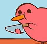 The Adventures of Kiwi...