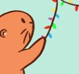 Otter on the New Year