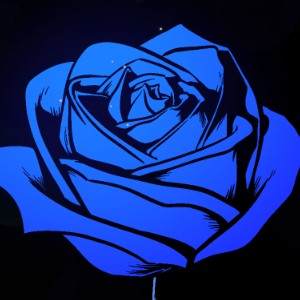 Special Announcement