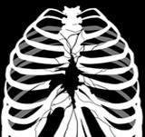 Ep. 14 - Carousel (V)